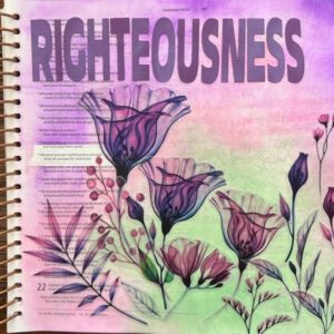 Righteousness Proverbs 21:12