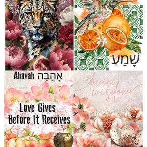 Root to Fruit Monthly Membership