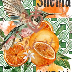 Seasons Kit 3 Shema Listen