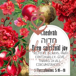 Seasons Kit 6 Chedvah Delight