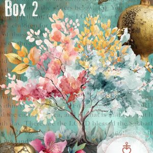 From Root to Fruit Quarterly Seasons Box 2