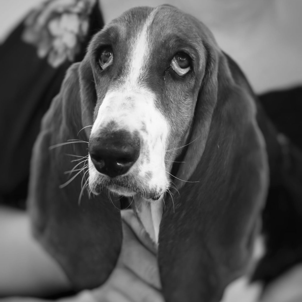 6e7627e6-3e63-453c-b8d7-48889041d00b